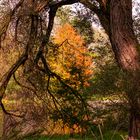 Herbststimmung