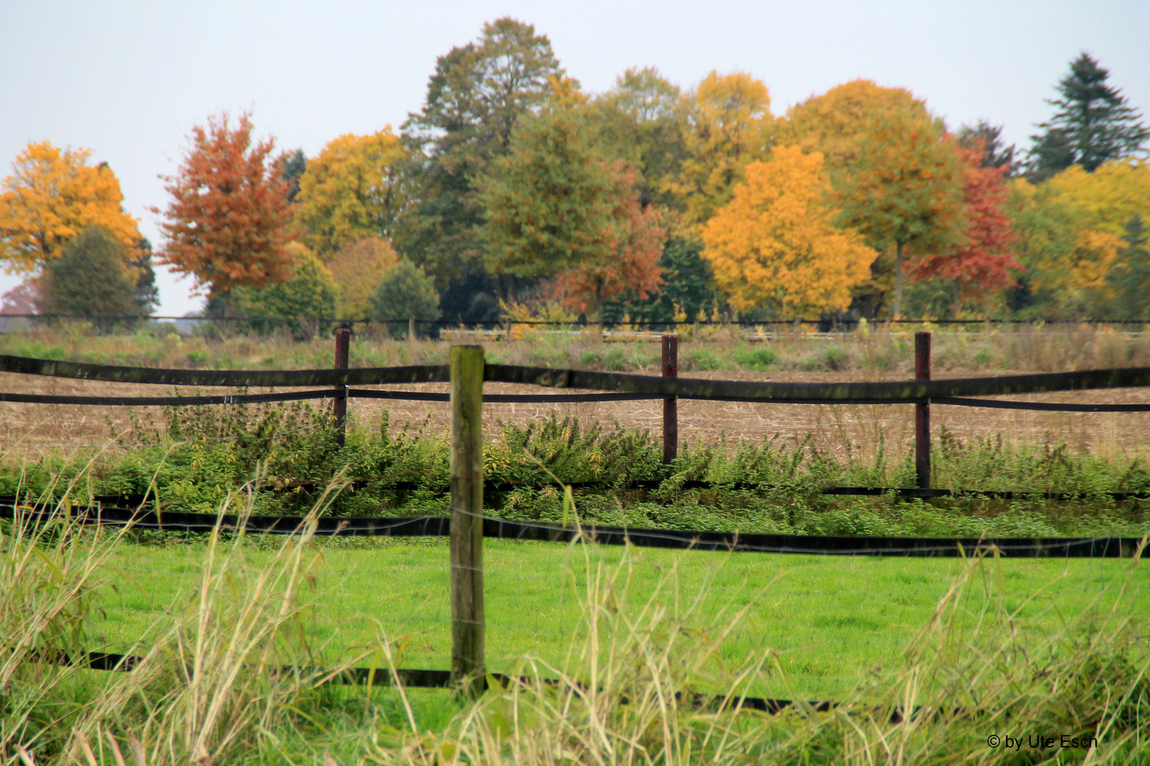 Herbststimmung