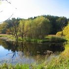 Herbststimmung 