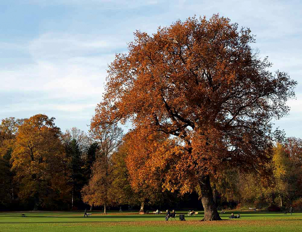 Herbststimmung