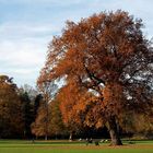 Herbststimmung