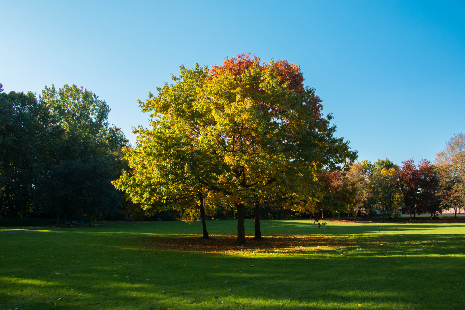 Herbststimmung