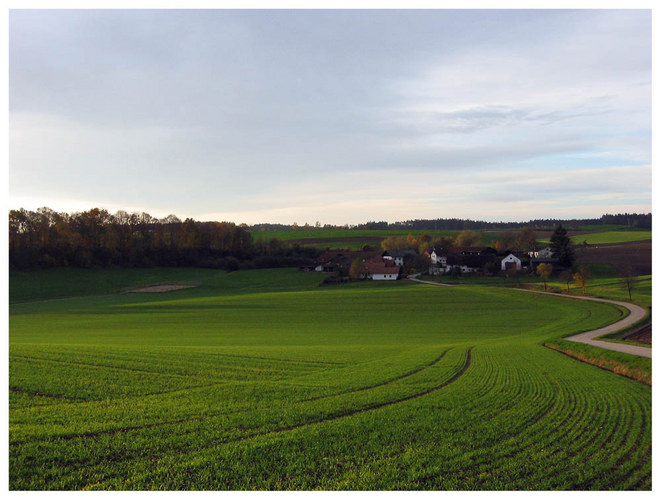 Herbststimmung