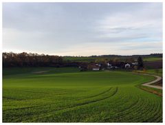 Herbststimmung