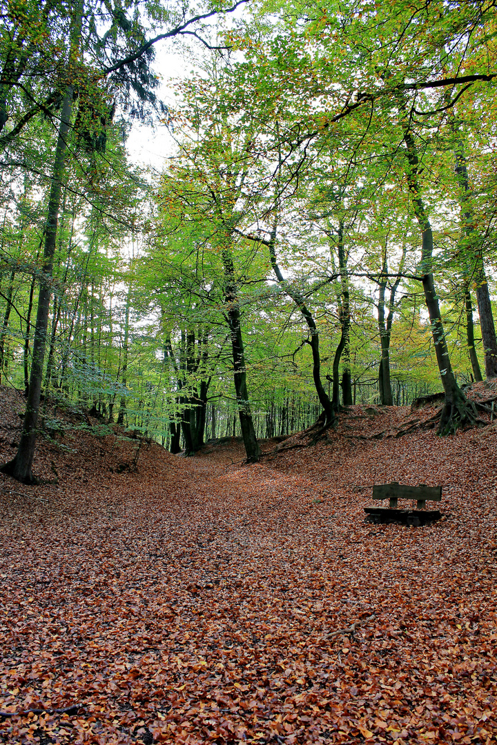 "Herbststimmung"