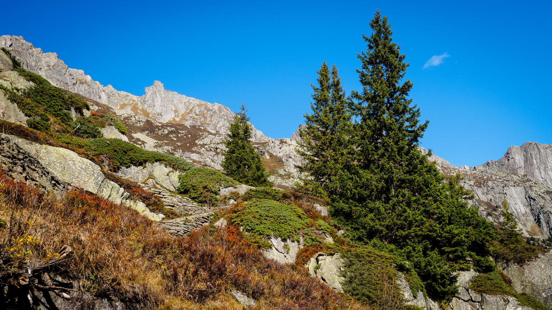 Herbststimmung Göscheneralp