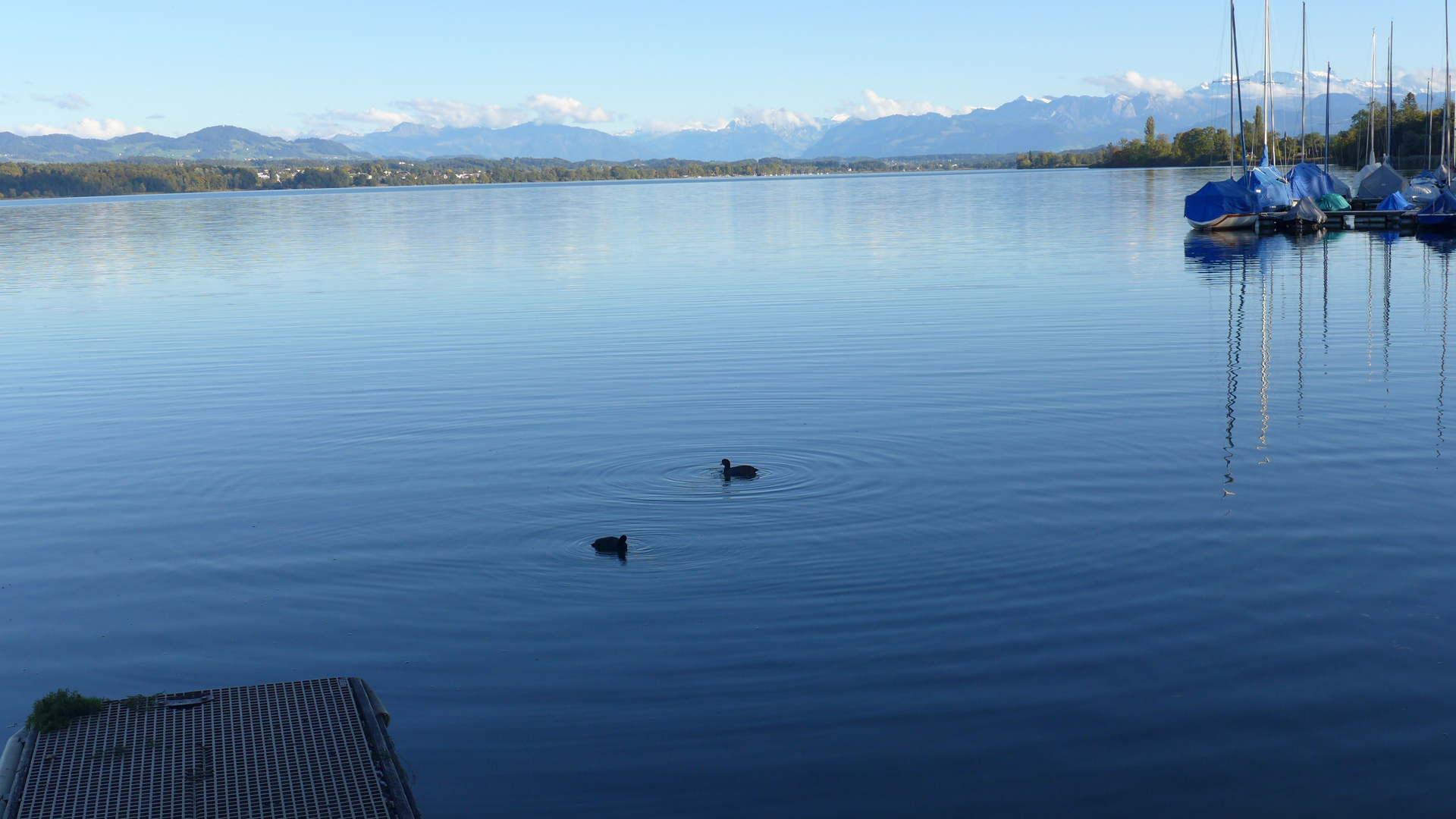 Herbststimmung Greifensee