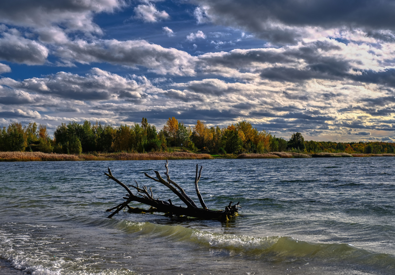 Herbststimmung - Herbstfarben - Herbststurm