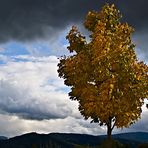 Herbststimmung I