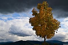 Herbststimmung I