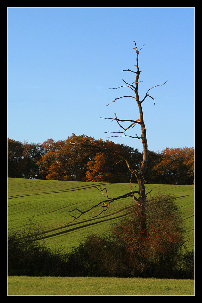 Herbststimmung II