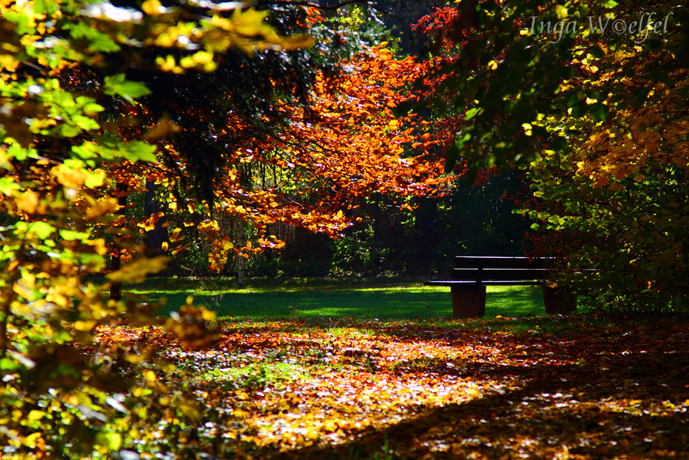 Herbststimmung II