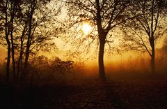 Herbststimmung II Berlin