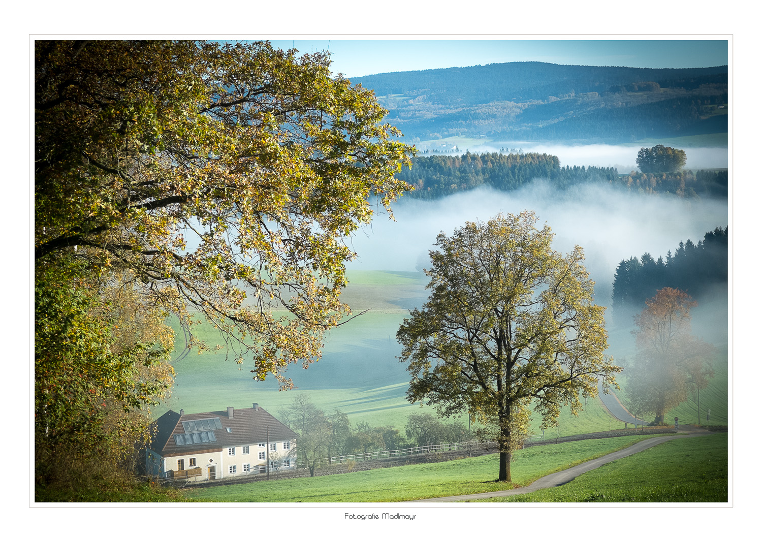 Herbststimmung II