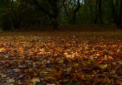 Herbststimmung III