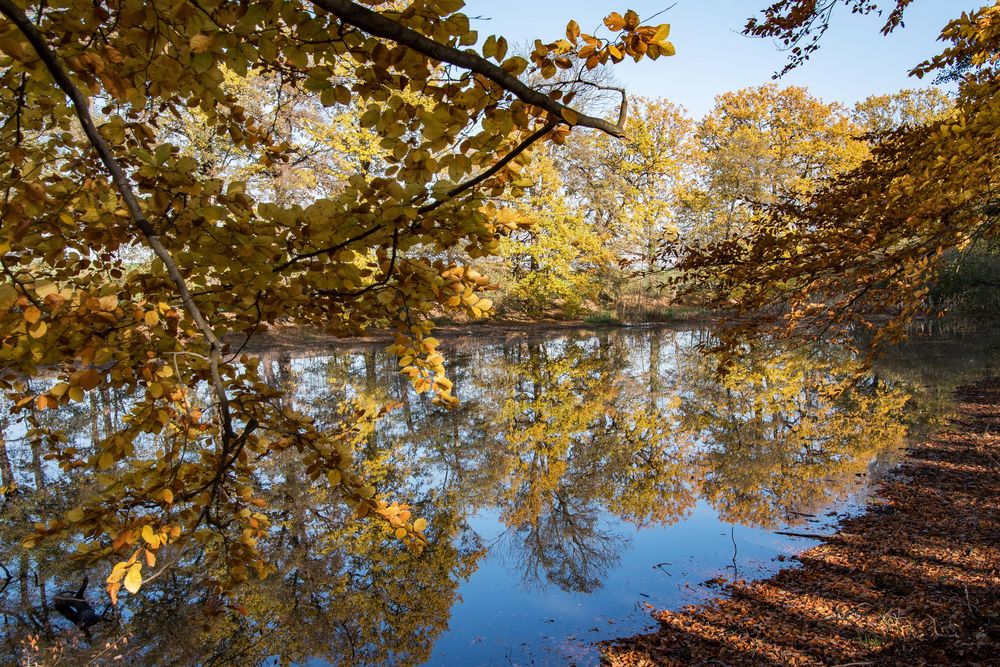 Herbststimmung III