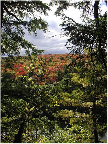 Herbststimmung im Algonquinpark