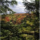 Herbststimmung im Algonquinpark