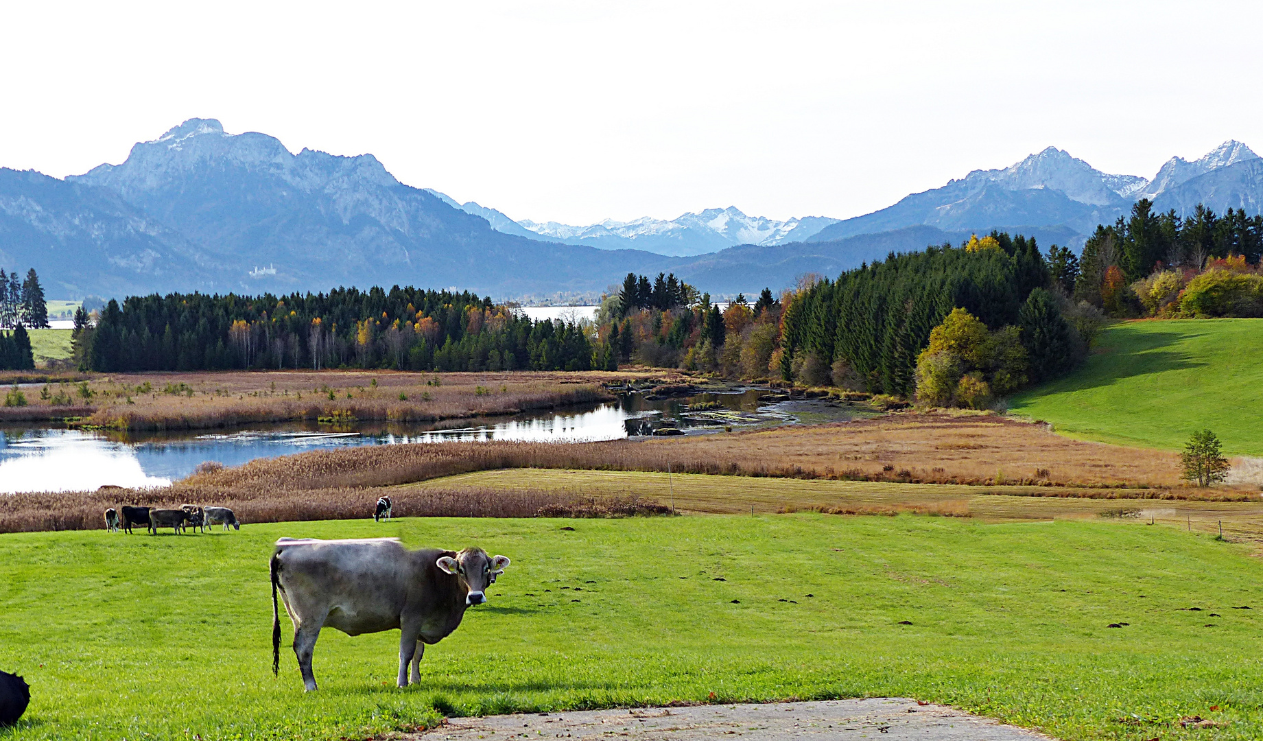 Herbststimmung im Allgäu