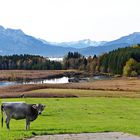 Herbststimmung im Allgäu