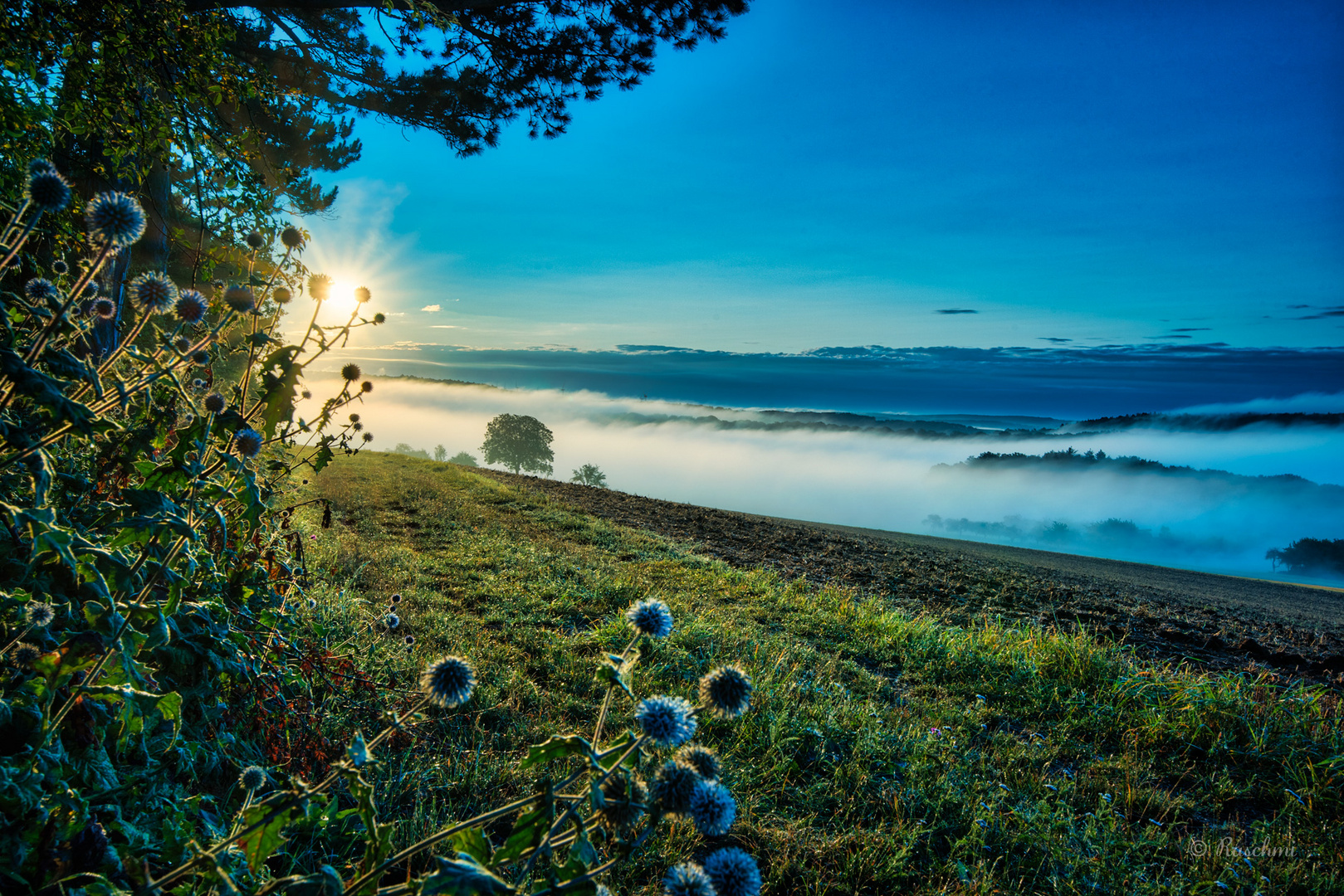 HERBSTSTIMMUNG im AUGUST