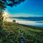 HERBSTSTIMMUNG im AUGUST