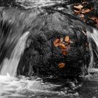 Herbststimmung im Bayerischen Wald