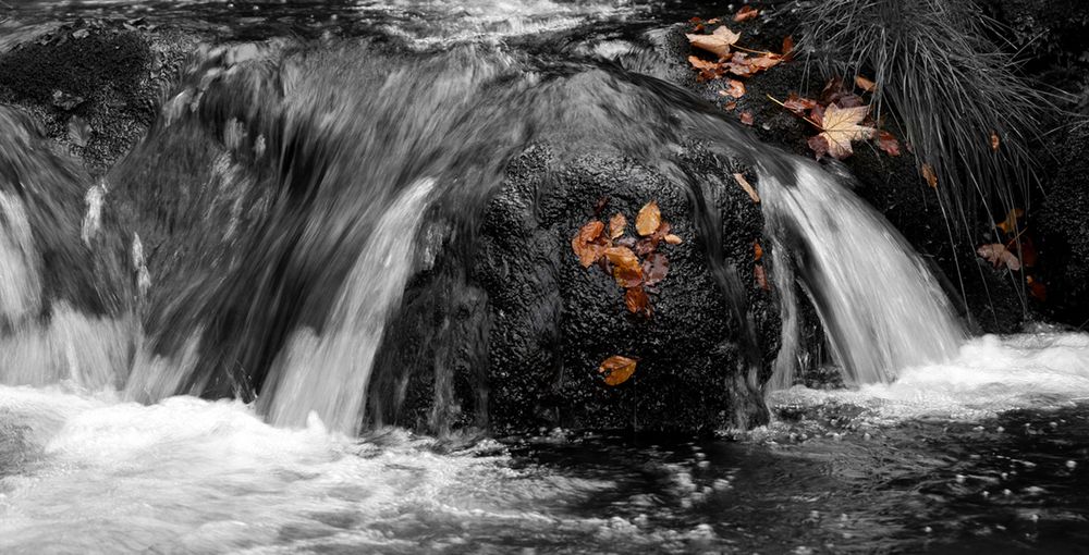 Herbststimmung im Bayerischen Wald