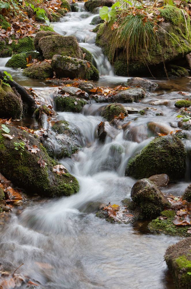 Herbststimmung im Bayerischen Wald - Kleine Ohe