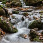 Herbststimmung im Bayerischen Wald - Kleine Ohe