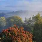 Herbststimmung im Bayernwald