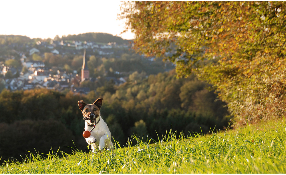 Herbststimmung im Bergischen Land