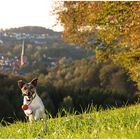 Herbststimmung im Bergischen Land