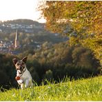 Herbststimmung im Bergischen Land