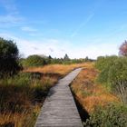 Herbststimmung im Brackvenn 3