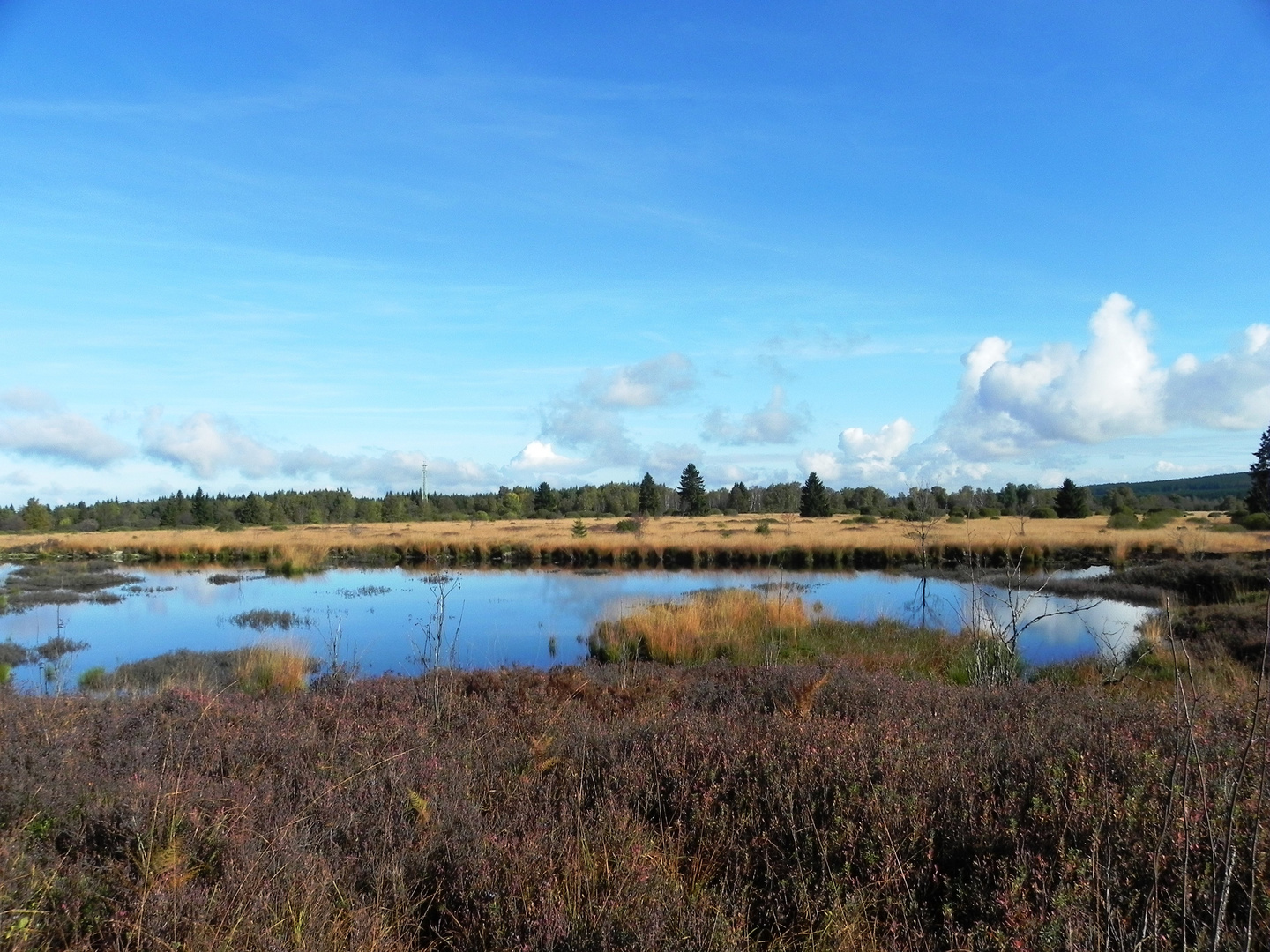 Herbststimmung im Brackvenn 4