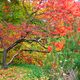 Herbststimmung im Britzer Garten in Berlin