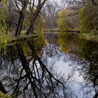 #~ Herbststimmung im Bürgerpark Braunschweig ~#