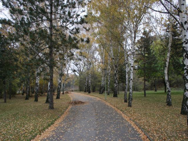 Herbststimmung im Donaupark in Wien