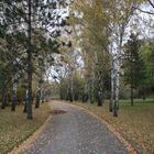 Herbststimmung im Donaupark in Wien