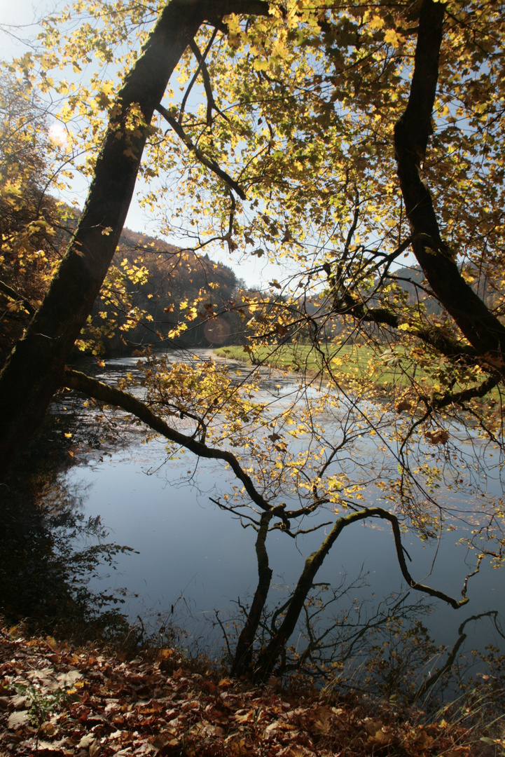 Herbststimmung im Donautal 2017-01