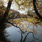 Herbststimmung im Donautal 2017-01