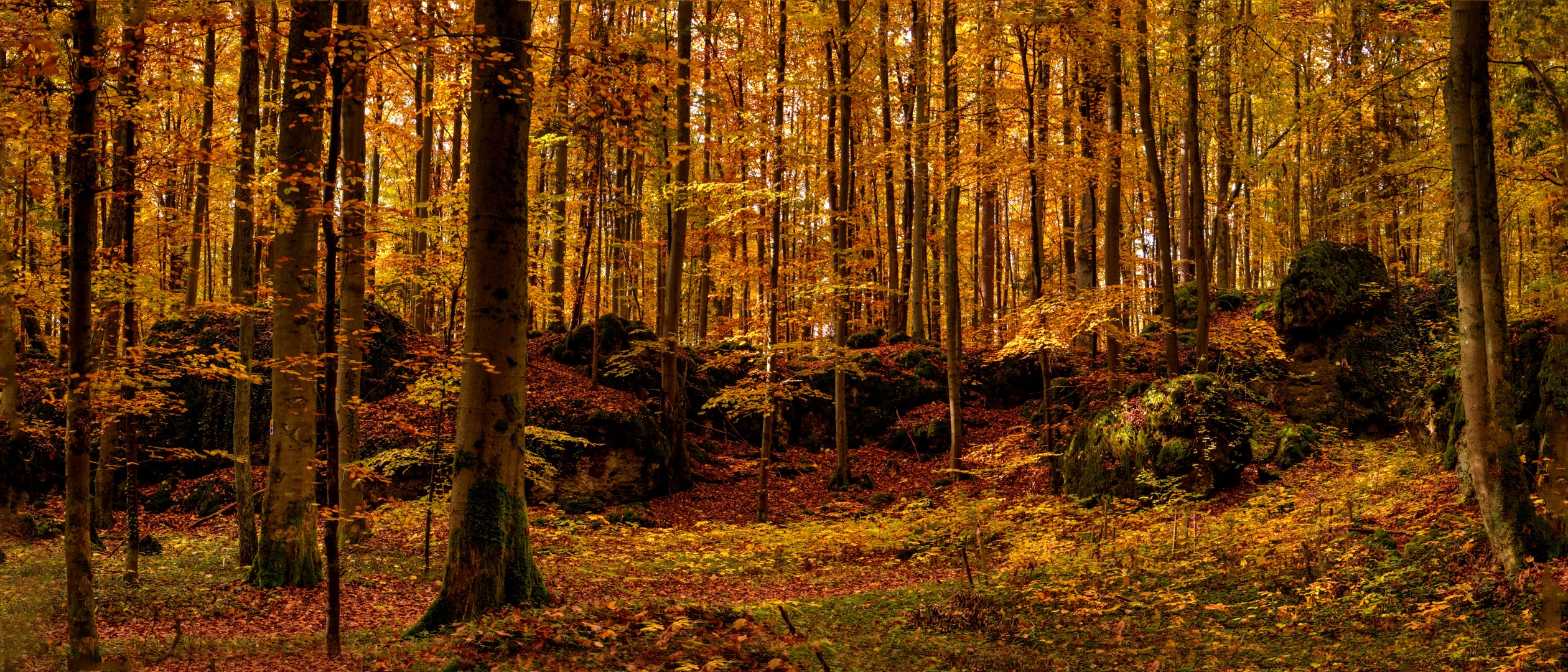 Herbststimmung im Eichiger Wald.