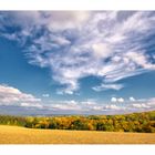 Herbststimmung im Elm