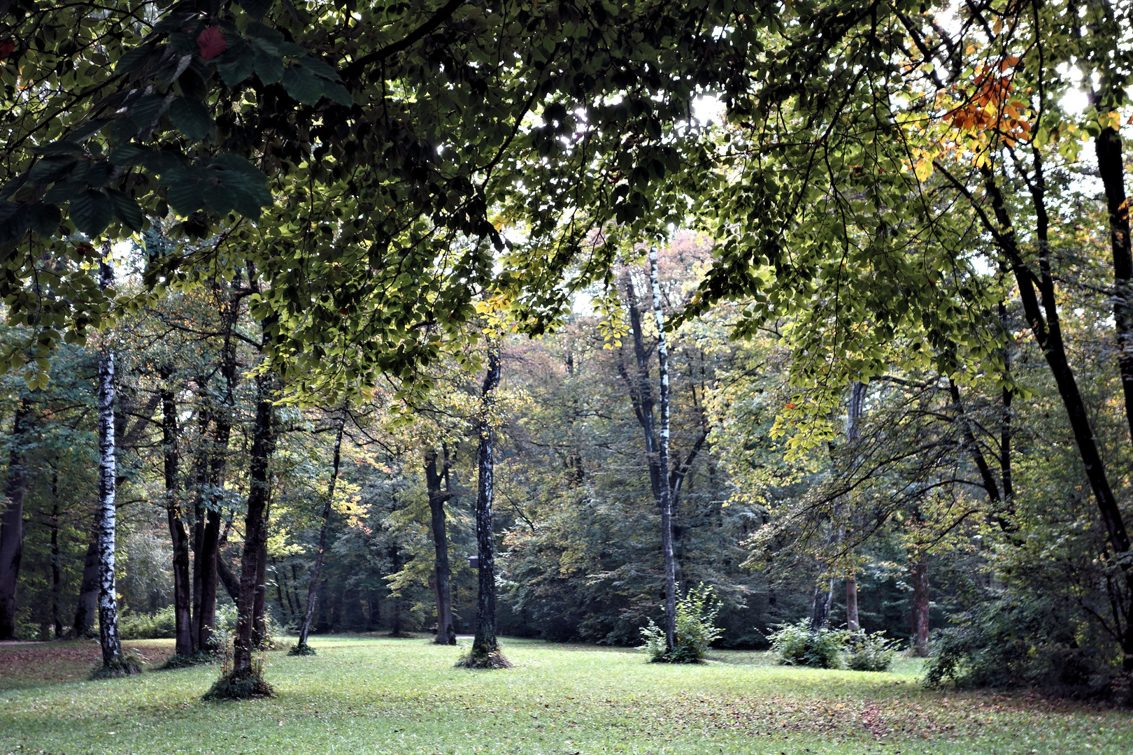 herbststimmung im englischen garten