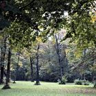 herbststimmung im englischen garten