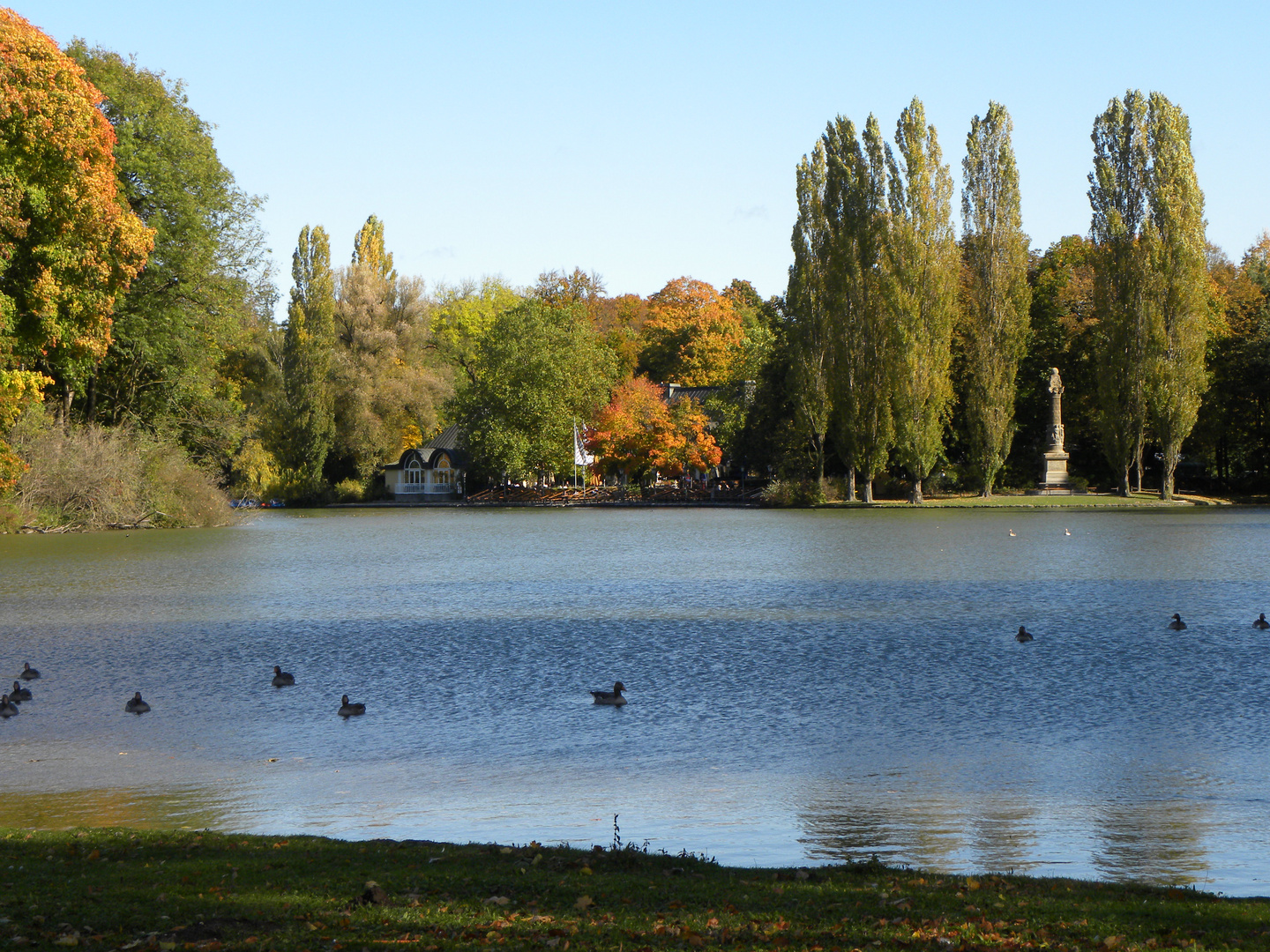 Herbststimmung im Englischen Garten Foto & Bild
