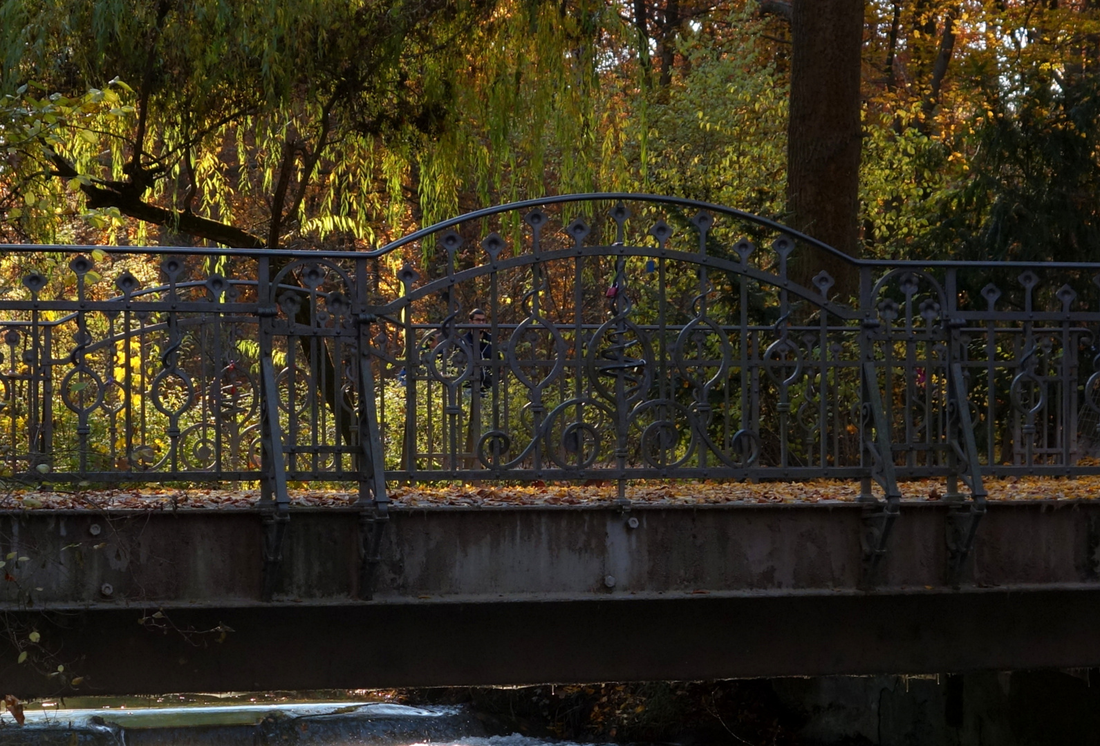 Herbststimmung im Englischen Garten, München.