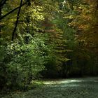 Herbststimmung im "Englischen Garten", München