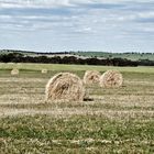 Herbststimmung im Frühling